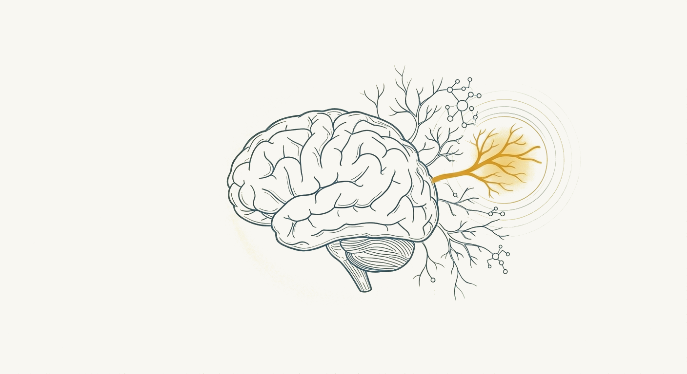 Can You Increase Your IQ? What the Neuroplasticity Research Says