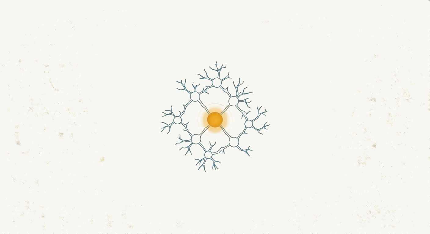 Brain Fertilizer: The Newly Discovered Cells Keeping Resilient Brains Young